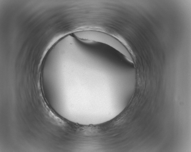 X0000078011102200611251456