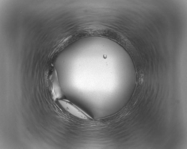X0000078011108200611251456