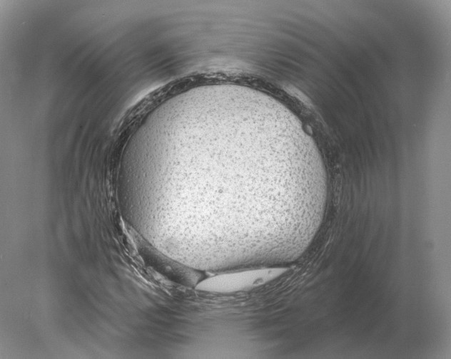 X0000078011112200611251456