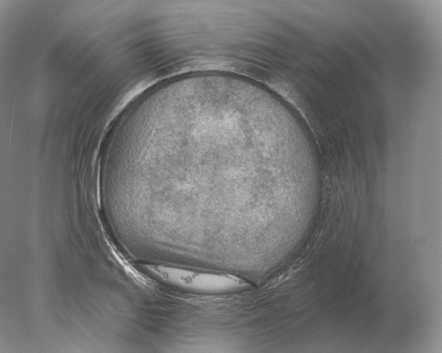 X0000078011127200611251456