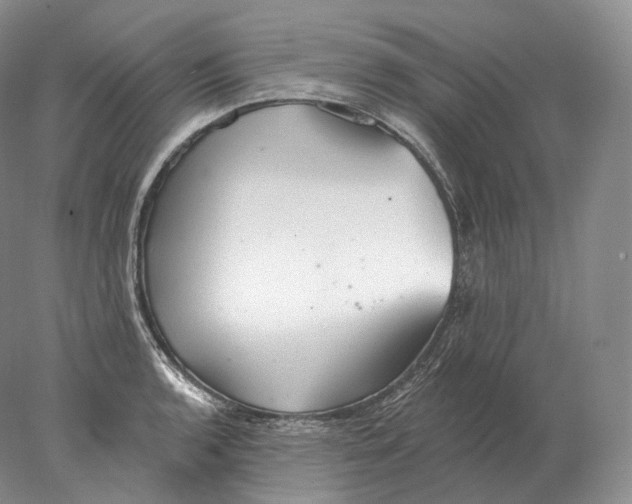 X0000078011136200611251456
