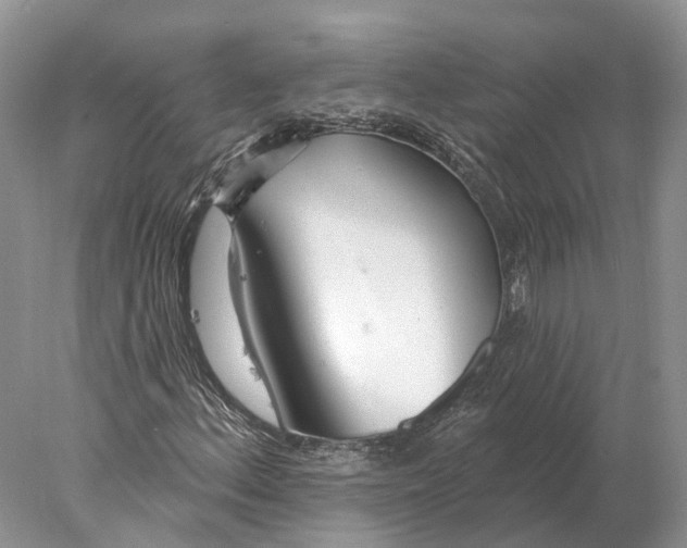 X0000078011156200611251456