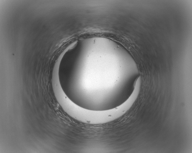 X0000078011157200611251456