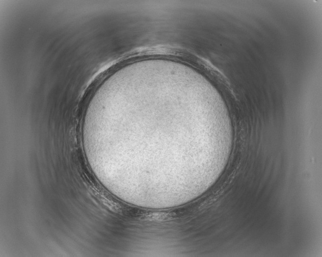 X0000078011166200611251455