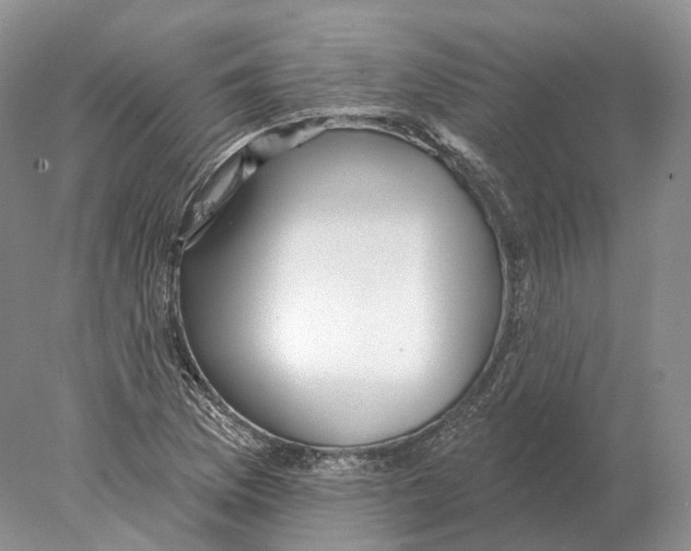 X0000078011169200611251455