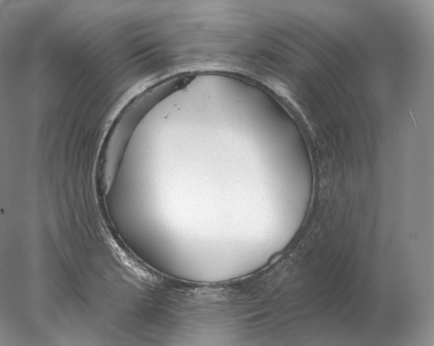 X0000078011181200611251455