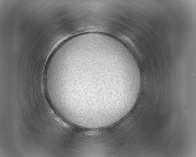 X0000078011182200611251455