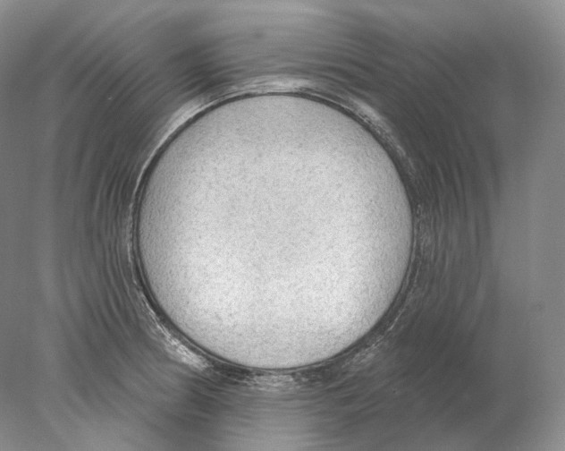 X0000078011186200611251455