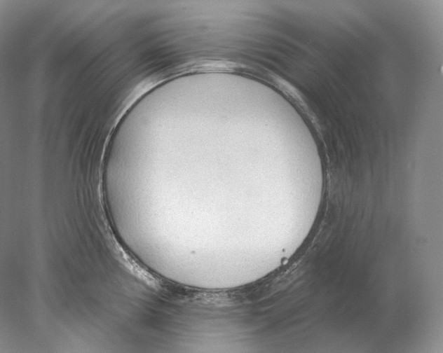 X0000078011194200611251455