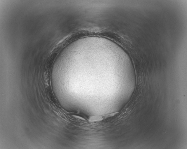 X0000078011205200611251454