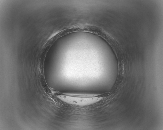 X0000078011206200611251454