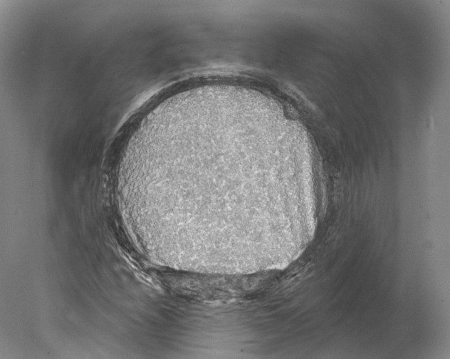 X0000078011208200611251454