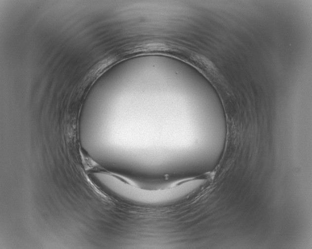 X0000078011225200611251454