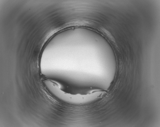 X0000078011226200611251454
