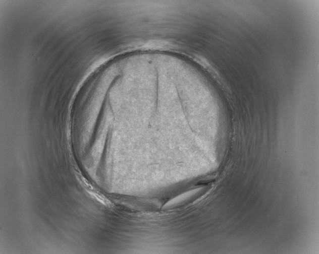 X0000078011232200611251455