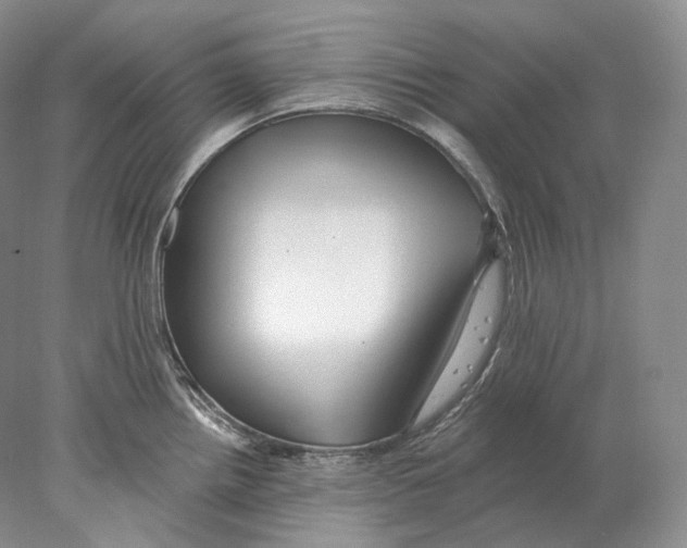 X0000078011242200611251455