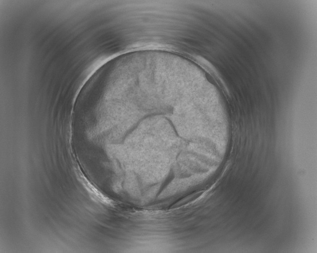 X0000078011244200611251455