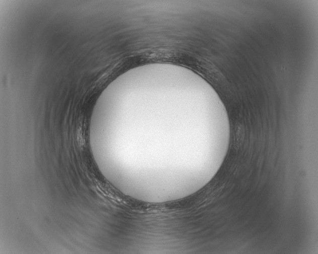 X0000078011250200611251454