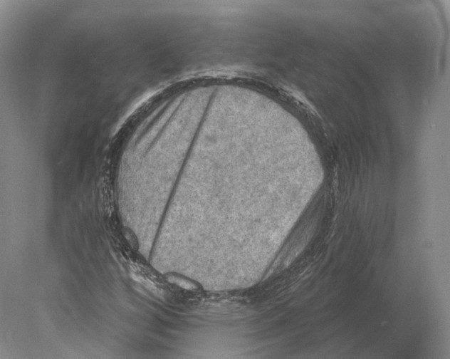X0000078011256200611251454
