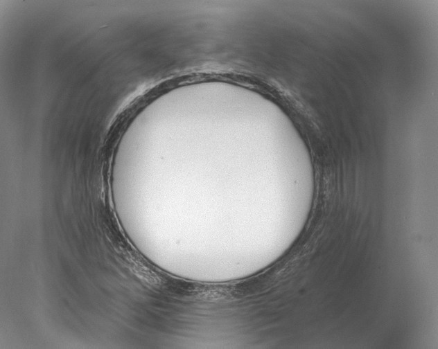 X0000078011262200611251454