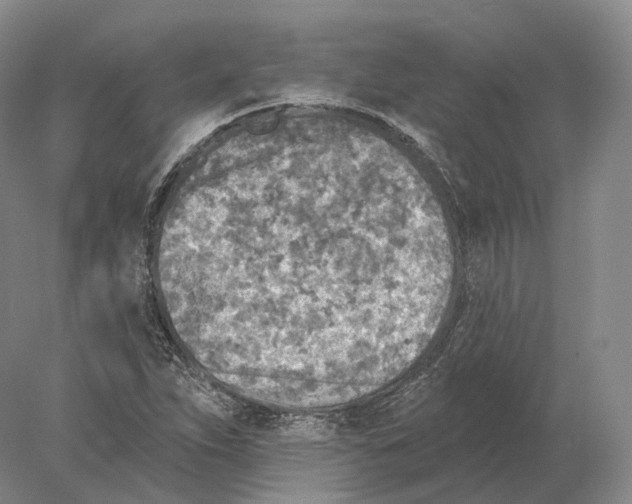 X0000078011263200611251454