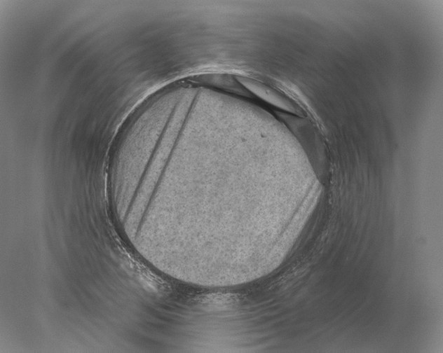 X0000078011268200611251454