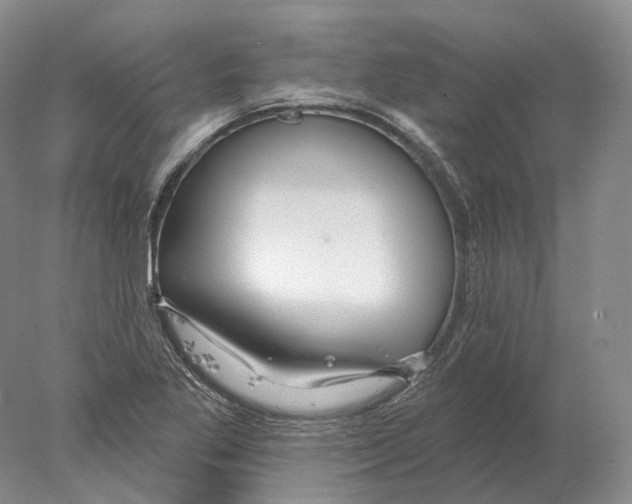 X0000078011269200611251454