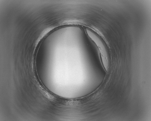 X0000078011277200611251454