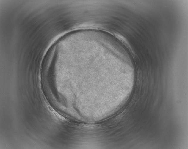 X0000078011288200611251453
