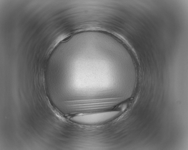 X0000078011289200611251453