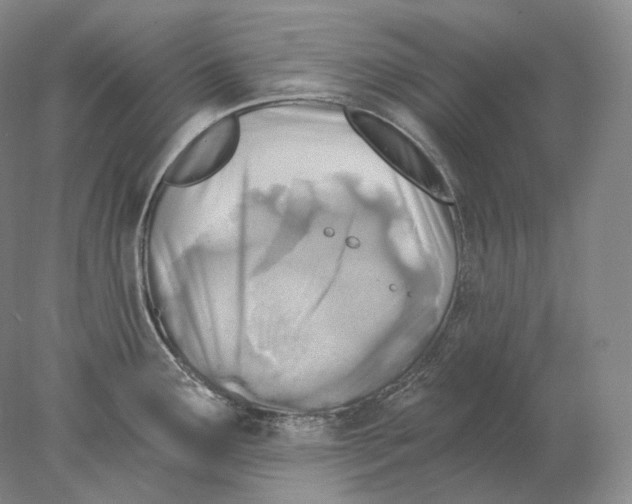 X0000078011291200611251453