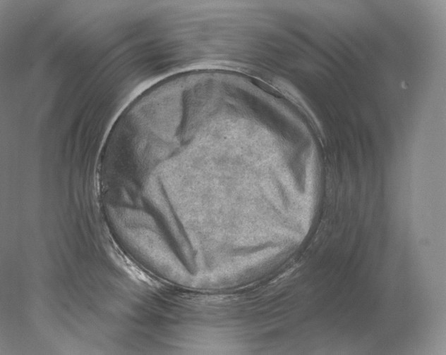 X0000078011292200611251453
