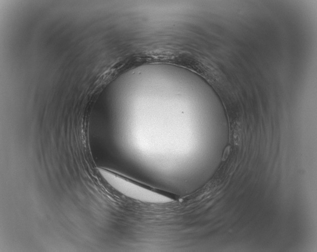 X0000078011298200611251452