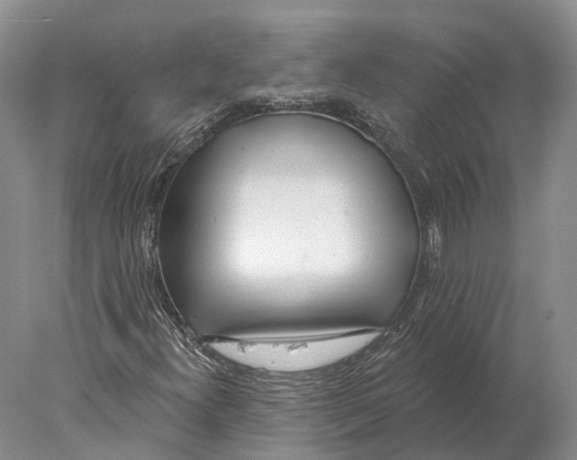 X0000078011300200611251452