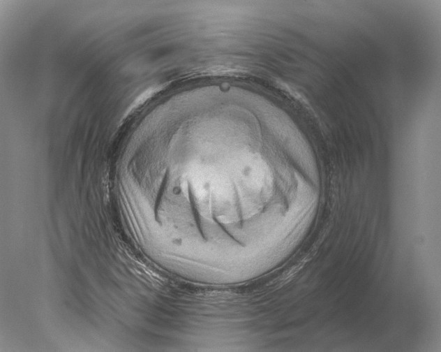 X0000078011306200611251453