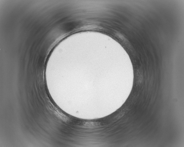 X0000078011322200611251453