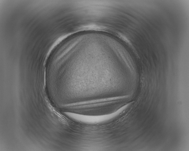 X0000078011323200611251453