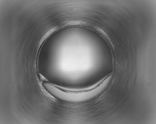 X0000078011330200611251453