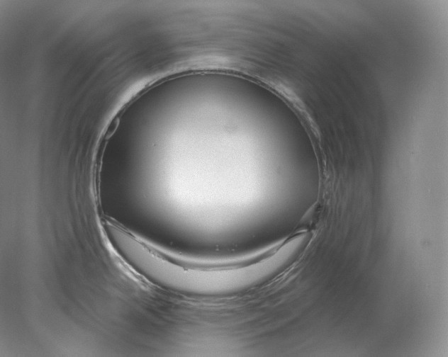 X0000078011342200611251453