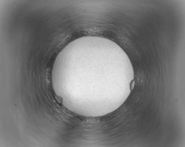 X0000078011346200611251452