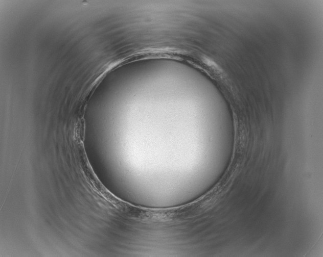 X0000078011361200611251452