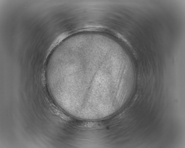 X0000078011362200611251452