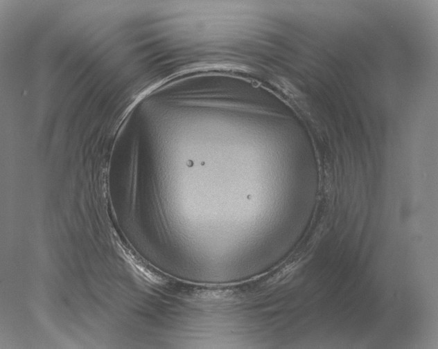 X0000078011369200611251452