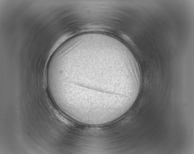 X0000078011370200611251452