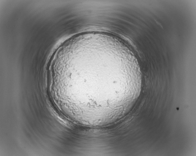X0000078011371200611251452