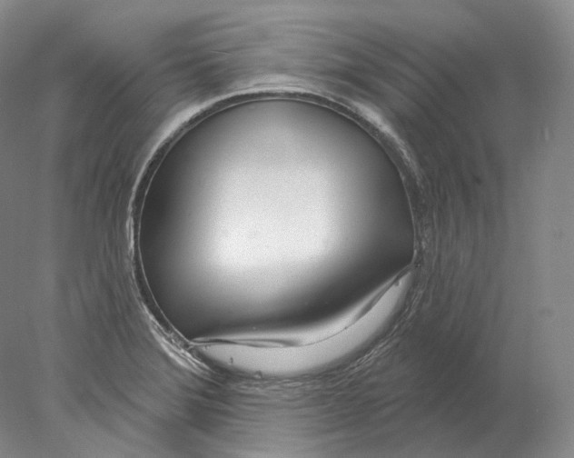 X0000078011372200611251452
