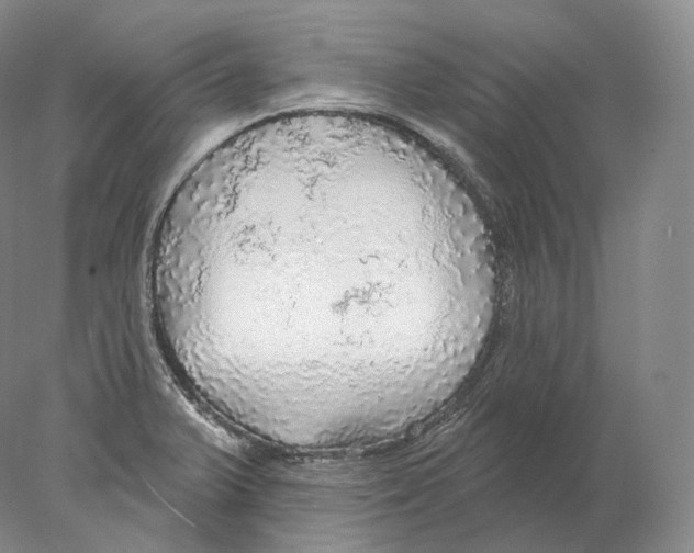 X0000078011375200611251452