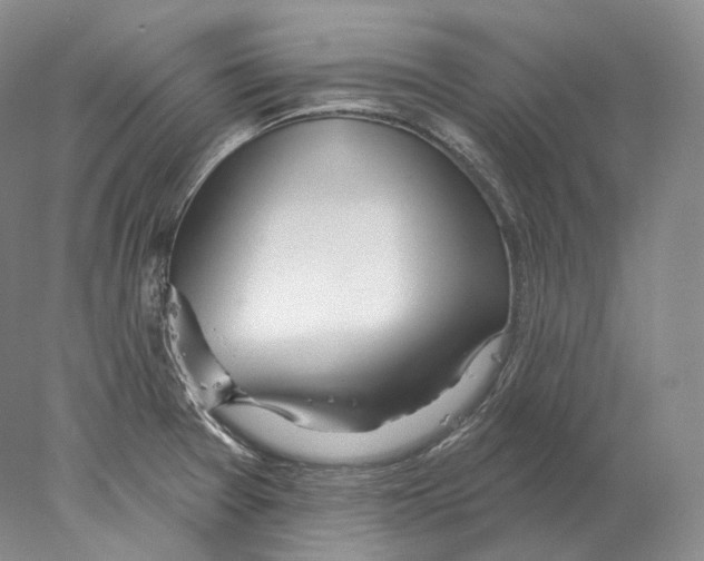 X0000078011377200611251452