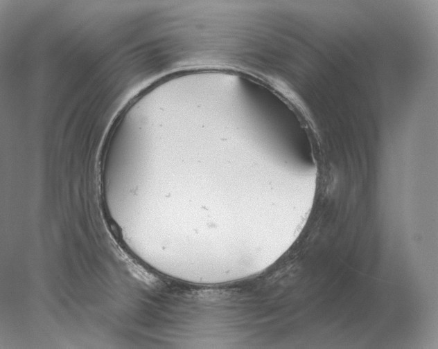 X0000078011380200611251452