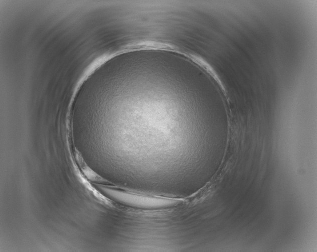 X0000078011381200611251452